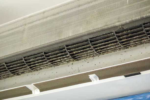 Best Emergency Air Duct Cleaning  in Springdale, AR